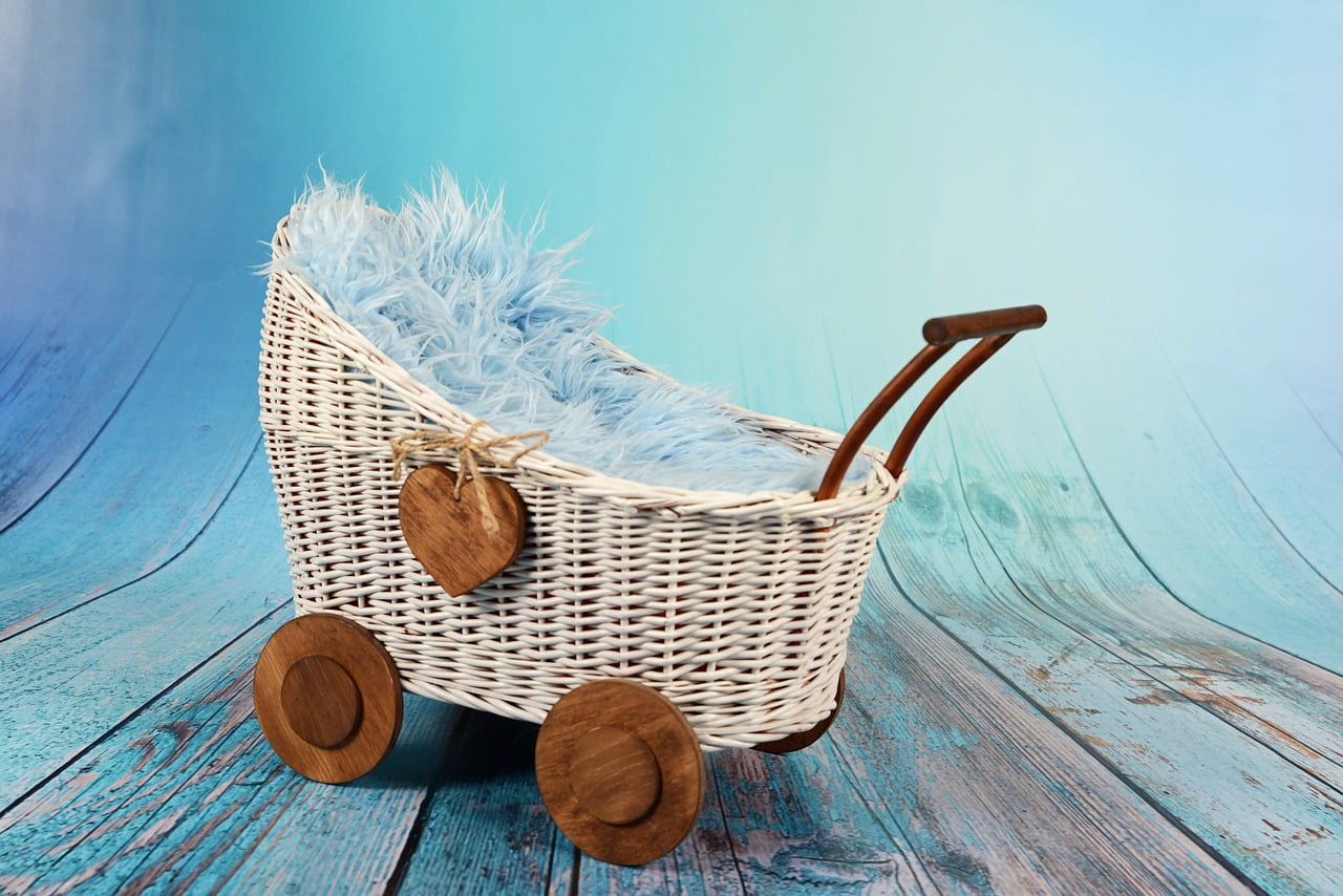 Achat Materiel Bebe Naissance Occasion Argent Budget Parents
