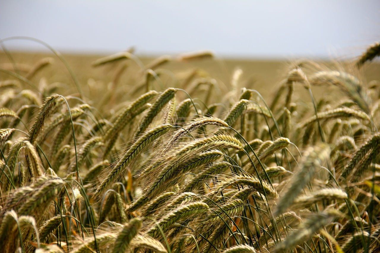 Agriculte Atout France Seronie