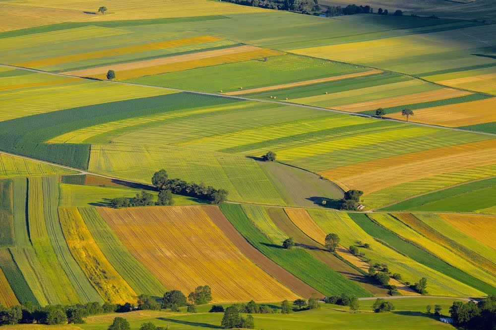 Agriculture France Developpement Futur Marche