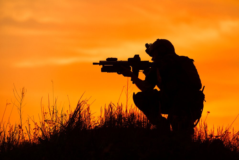 Armes France Vente Dga Chiffre Affaires