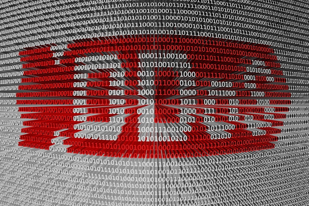 Attaques Ddos Figaro Parisien Obs Equipe