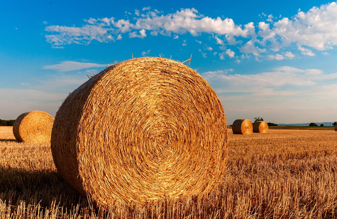 Baisse Pesticides Agriculture Production Amelioration