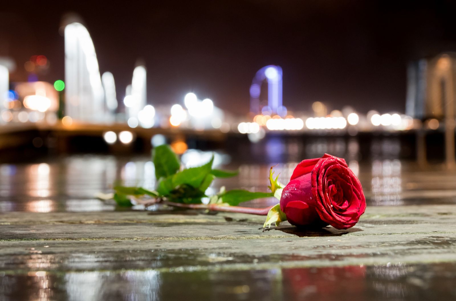 Barcelona Commemoration Hommage Attentat Rose
