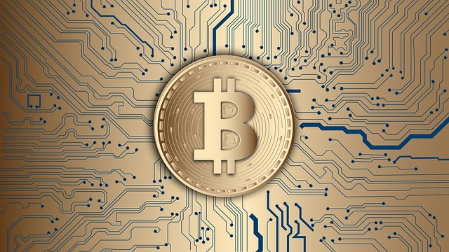 Bitcoin France Politique Cryptomonnaies