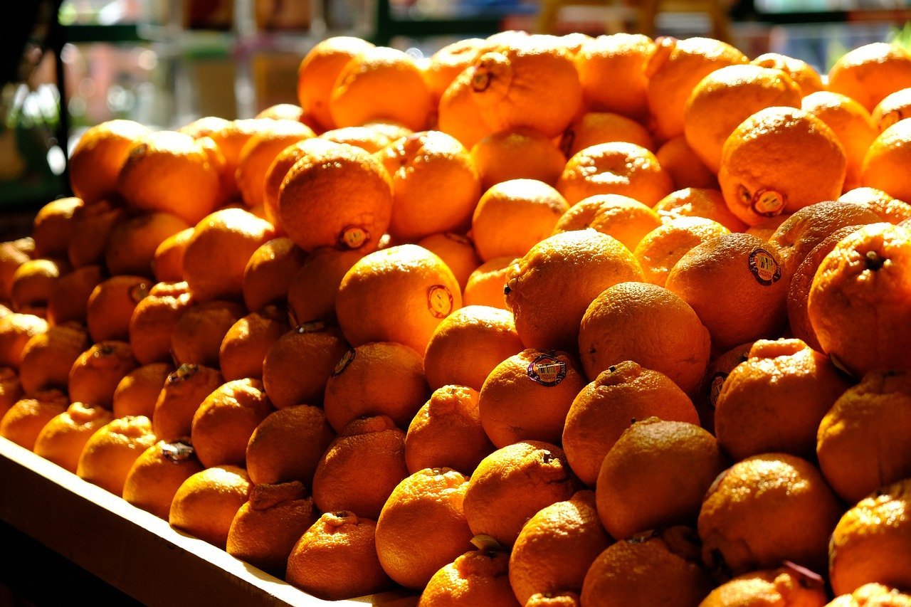 Carrefour Biocbon Bio 1