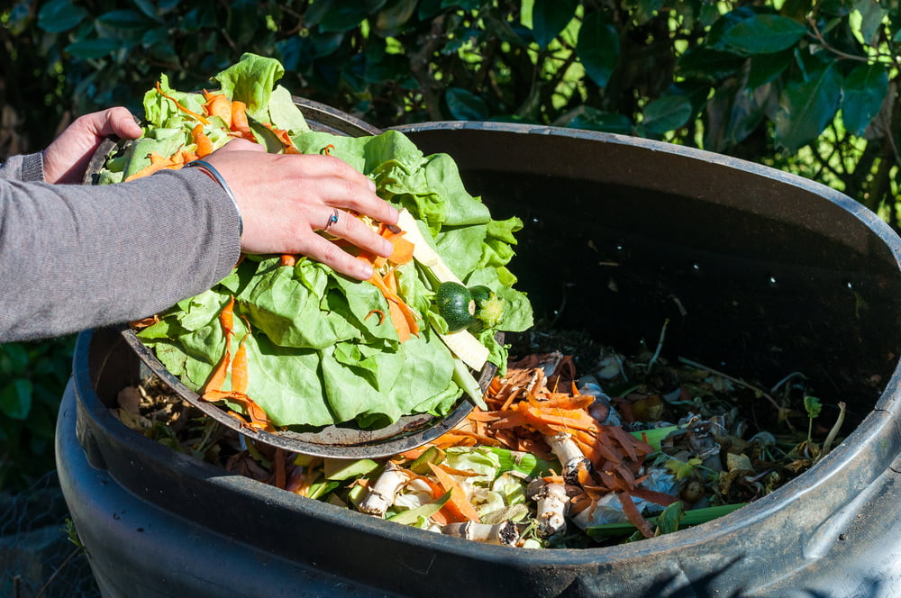 Compostage France Bordeaux Developpement