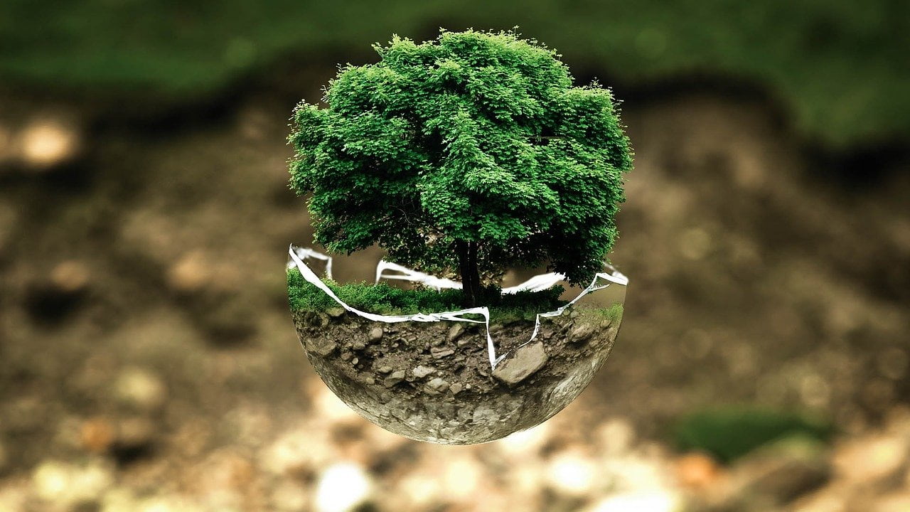 Concept Zero Plastique