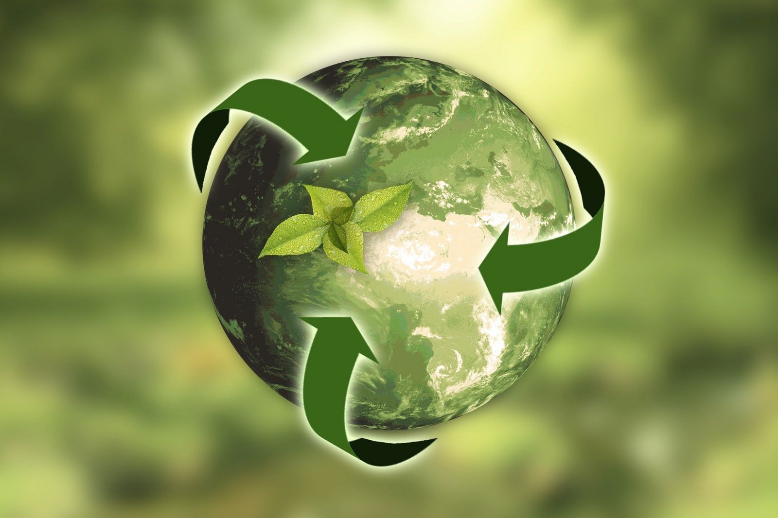 Contibuables Associes Lance Campagne Contre Gaspillages Ecologiques