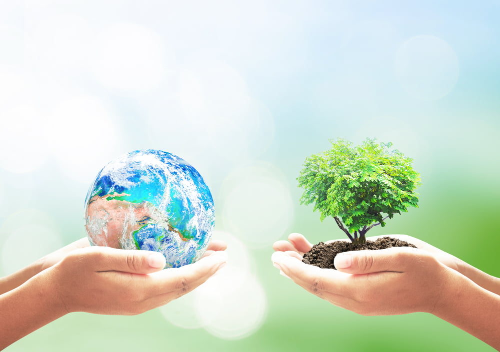 Cop21 Opportunite Emploi France Innovation Technologie