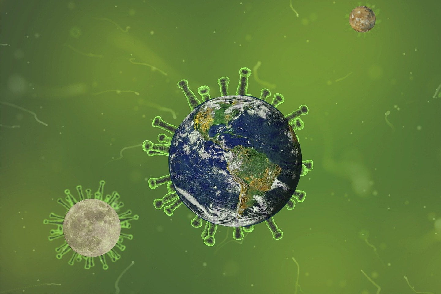 Covid 19 Coronavirus