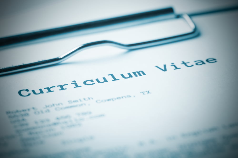 Cv Conseil Curriculum Vitae Travail