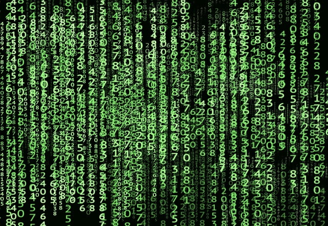 Cybersecurite Principe Precaution Dsi Entreprises