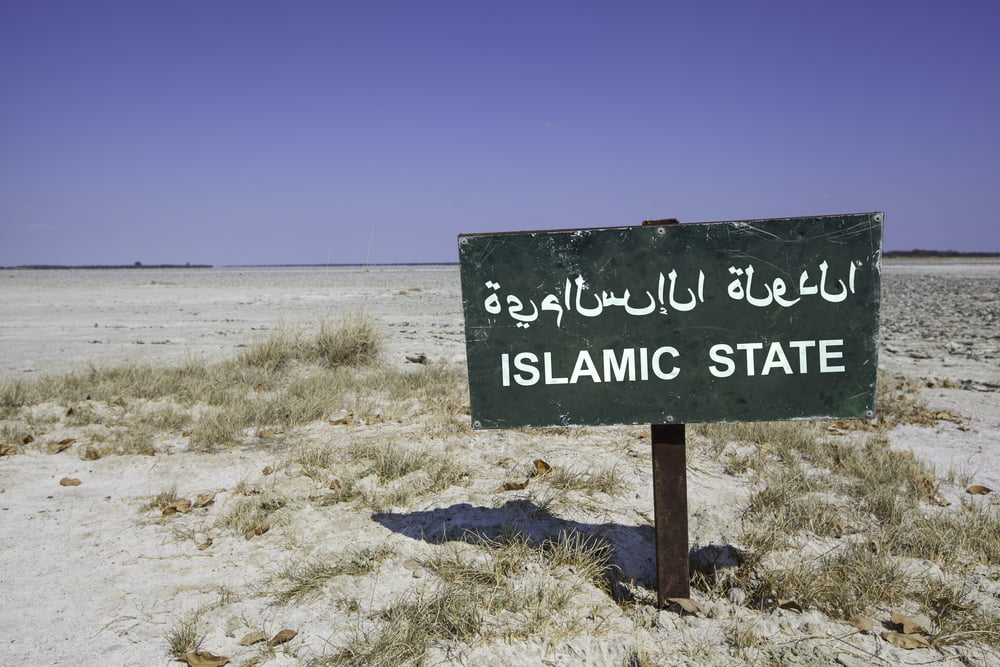 Daesh Argent Ressources Etat Islamique
