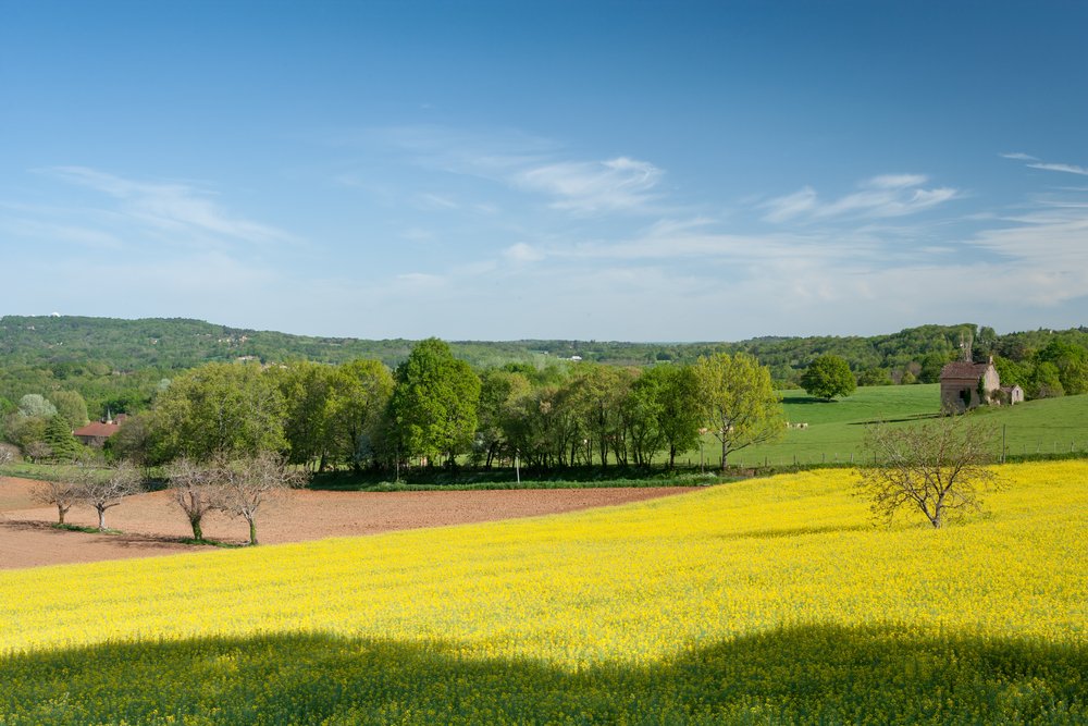 Desindustrialisation France Territoires Regions Urbanisation