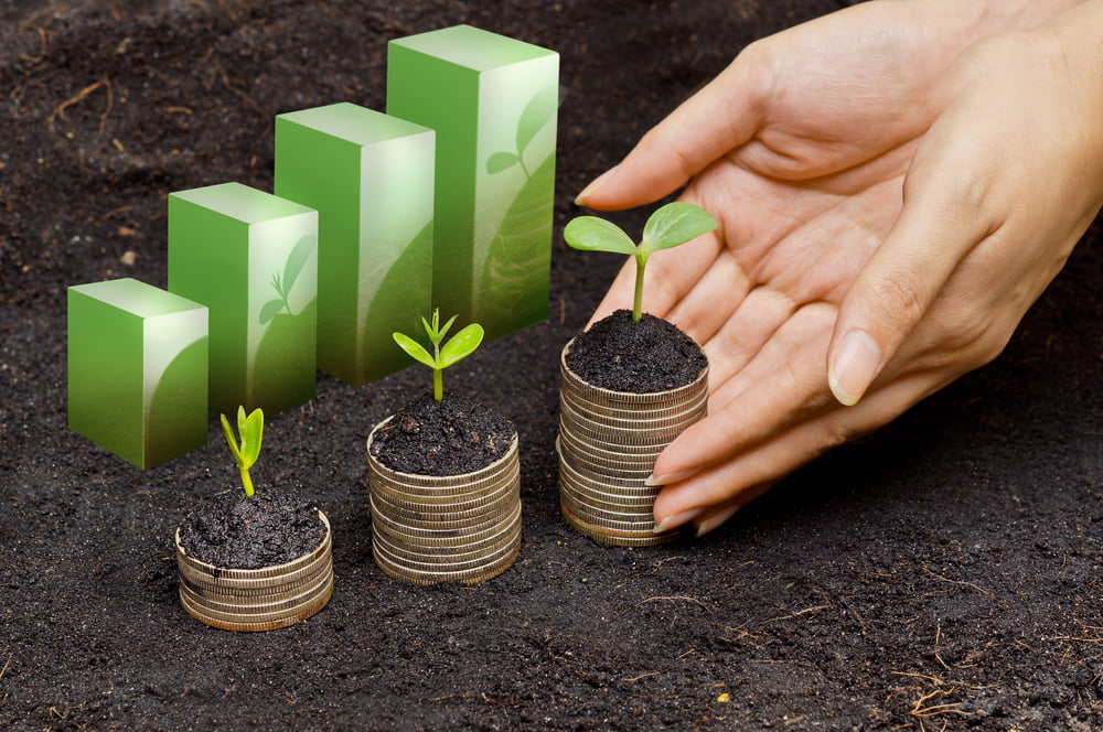 Economie Sociale Solidaire Ess France Developpement