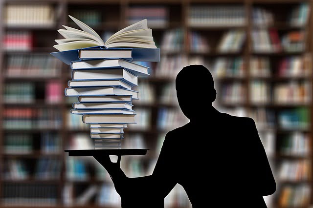 Enseignement Distance Enjeux Formation Metier