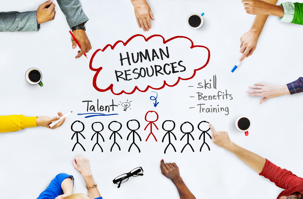 Entreprises Ressources Humaines Externalisation Fonctions