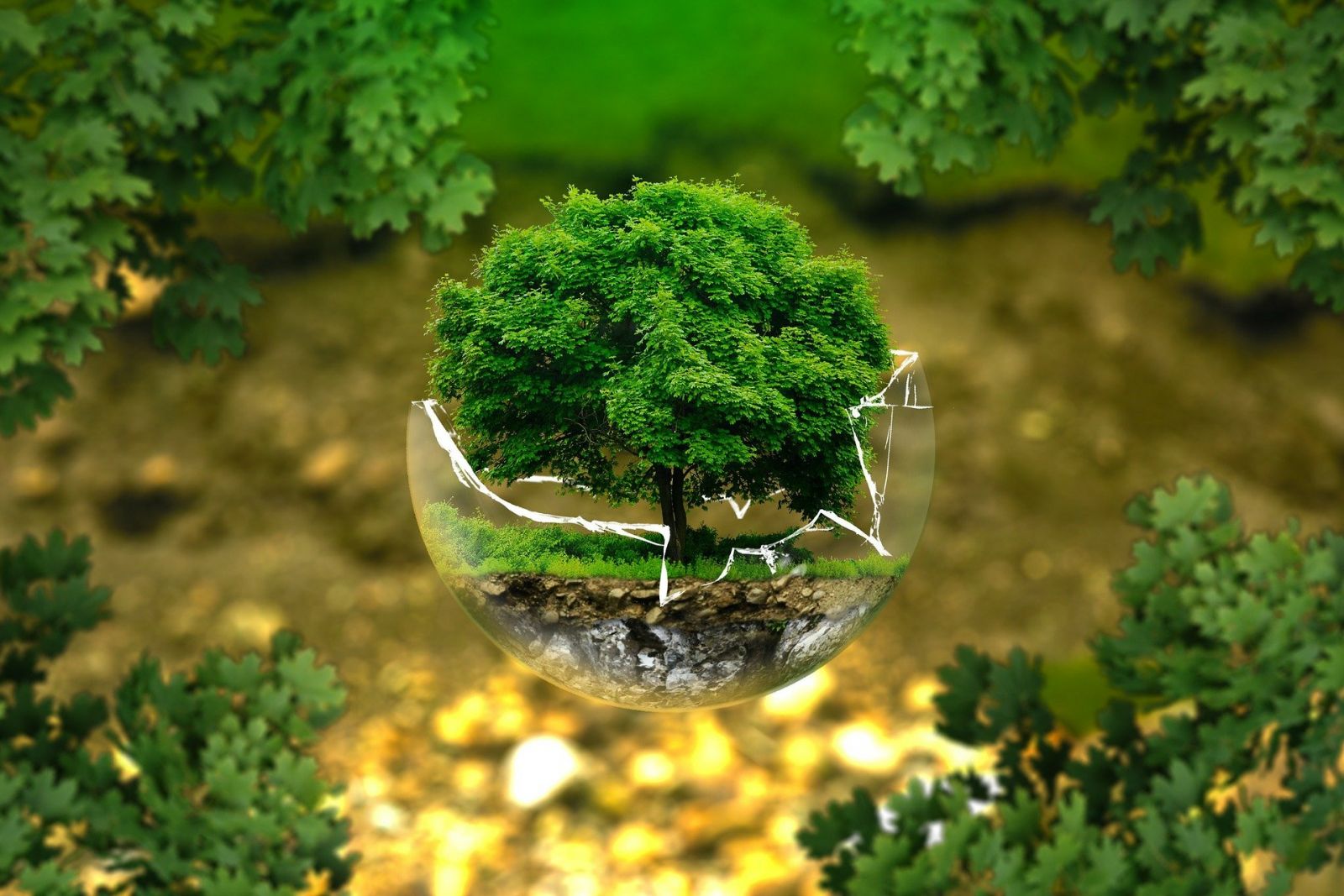 Environmental Protection 326923 1920%201