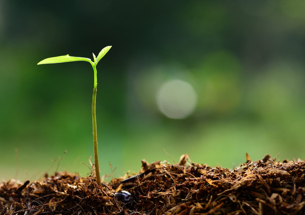 Environnement Protection Lutte Atteinte Circulaire Penal