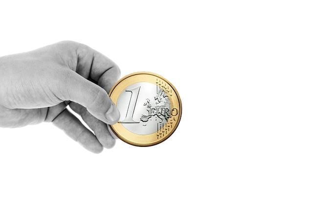 Euro Monnaie Unique Devaluation Valeurs