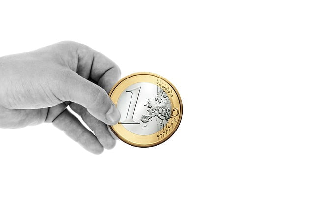 Euro Monnaie Unique Devaluation Valeurs