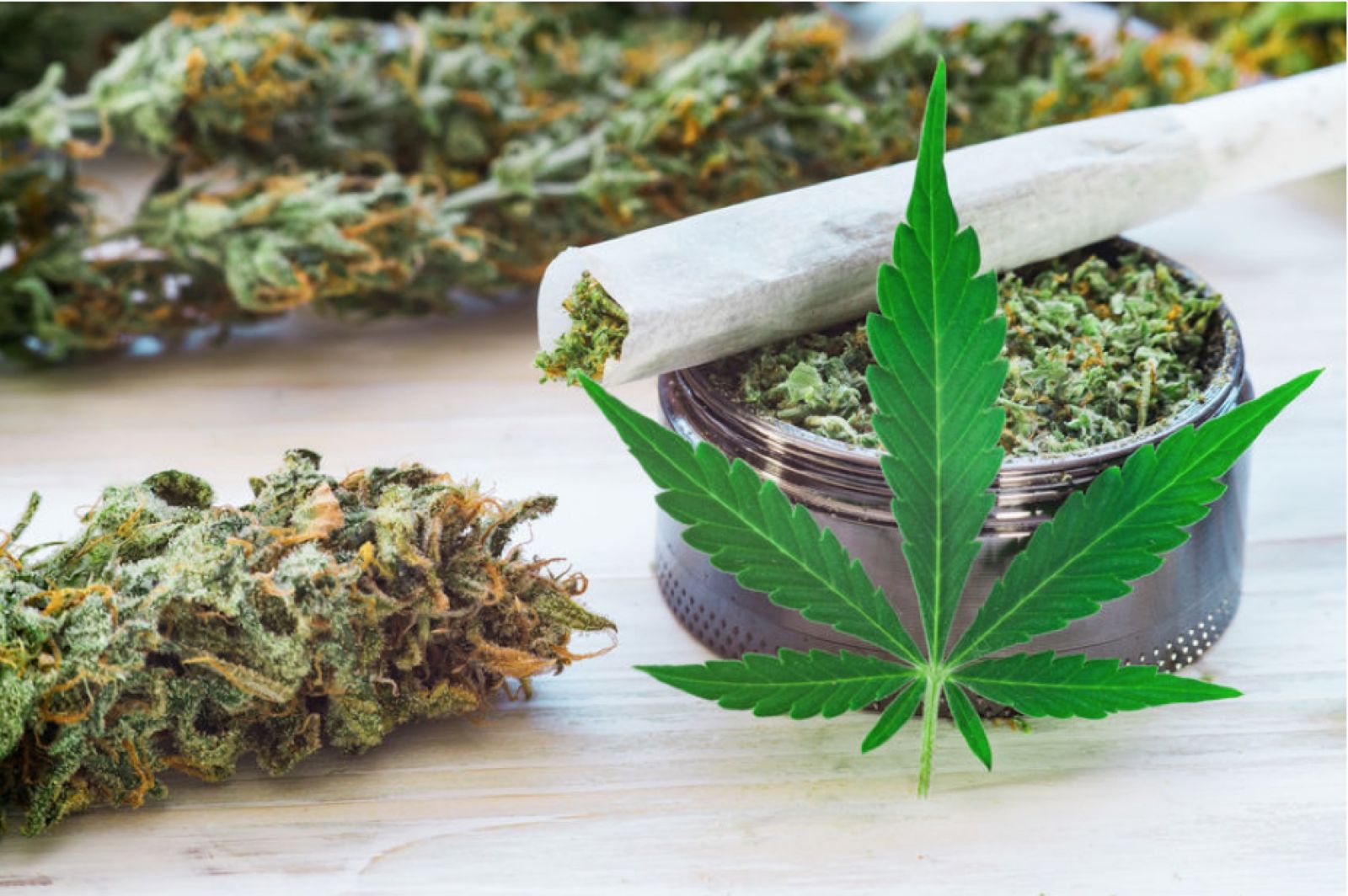 Fleurs Cbd Puissante Varietes France