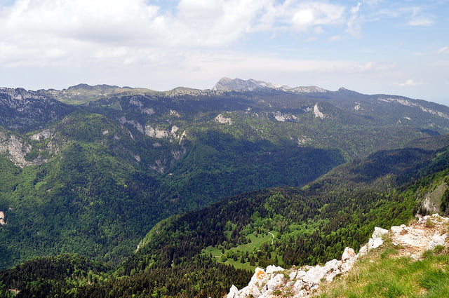 Foret Grande Chartreuse Onf Parc National France