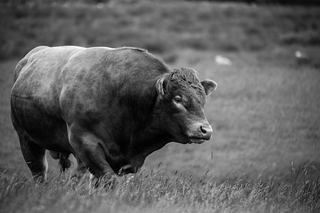 France Agriculture Alimentation Production Chiffres