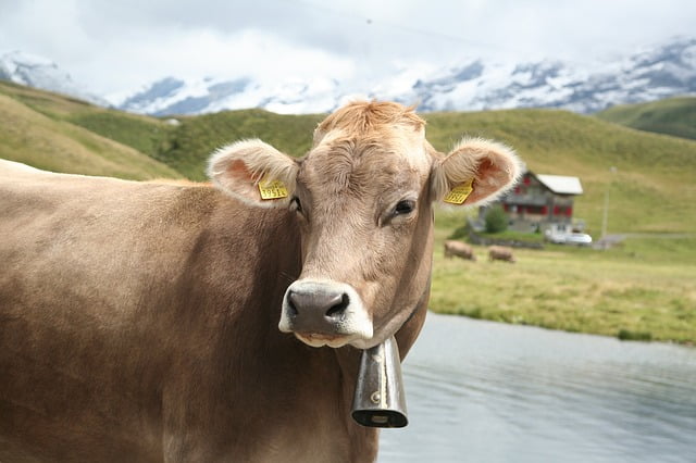 France Agriculture Modele Evolution Exploitations