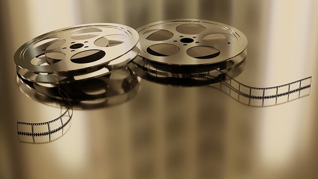France Cinema Acces Films Entrees