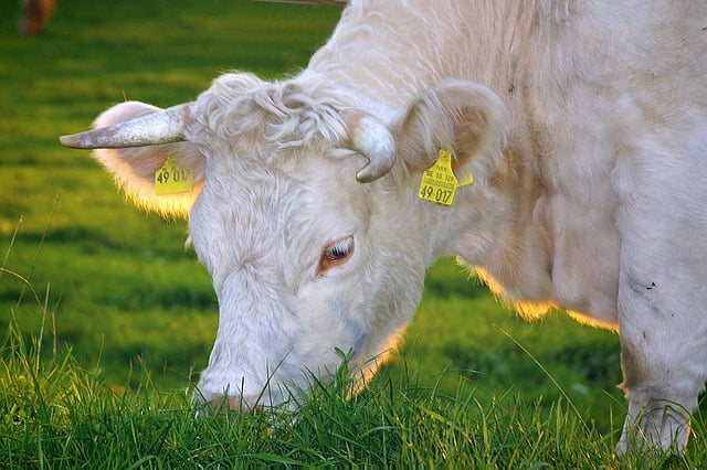 France Crise Agriculture Subventions Etat