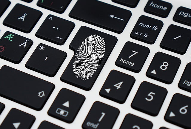 France Donnees Citoyens Vol Hackers