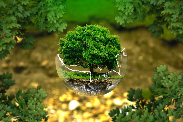 France Ecologie Startups Enjeux Secteur