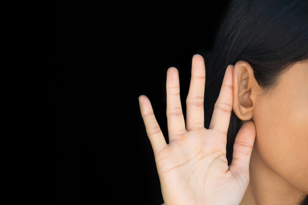 France Ecoutes Espionnage Services Secrets