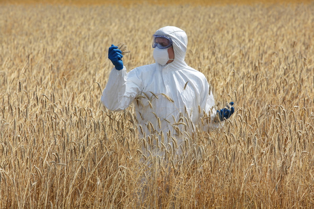 France Ogm Exploitations Refus Sante