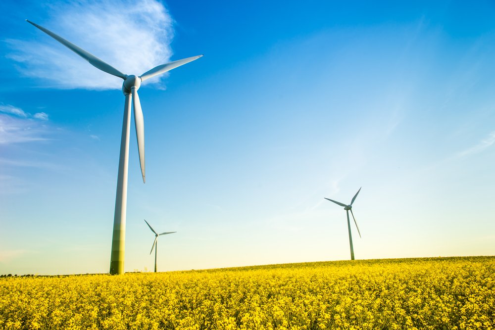 France Parc Eolienne Delinquance Campagne Developpement Durable