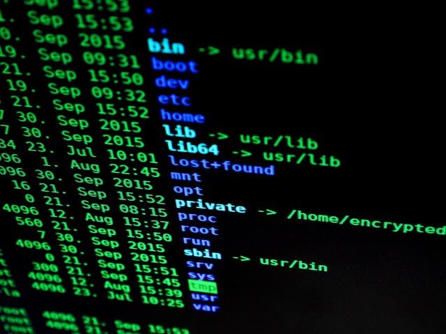 France Securite Informatique Elections Hackers
