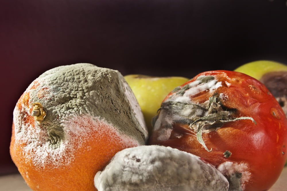 Gaspillage Alimentaire Consommateurs Distribution Faute Fin