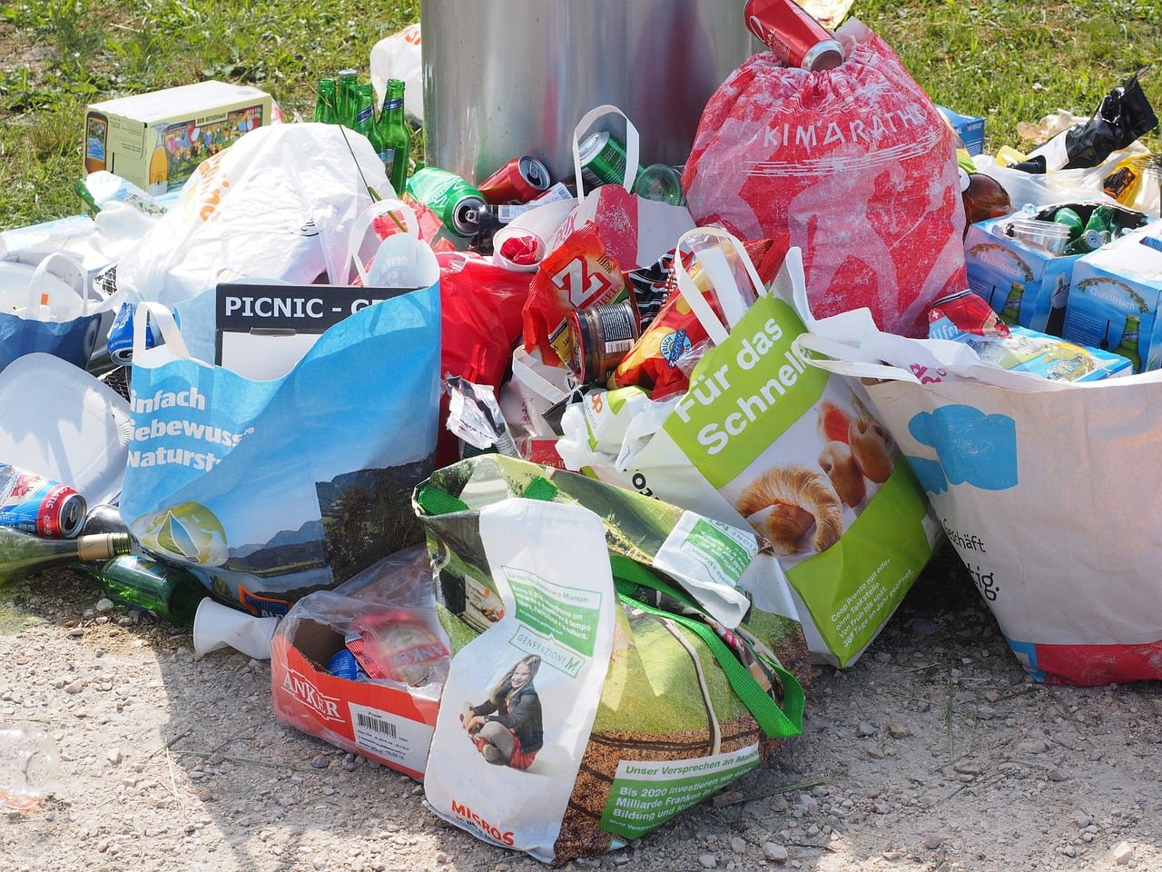 Gaspillage Alimentaire Faim Monde Malnutrition Monde