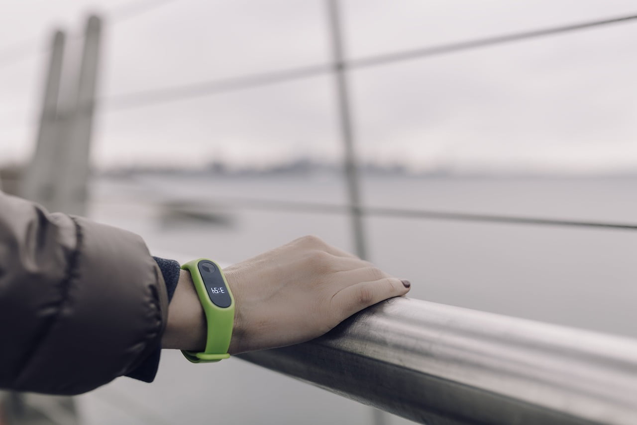 Google Fitbit Apple 1
