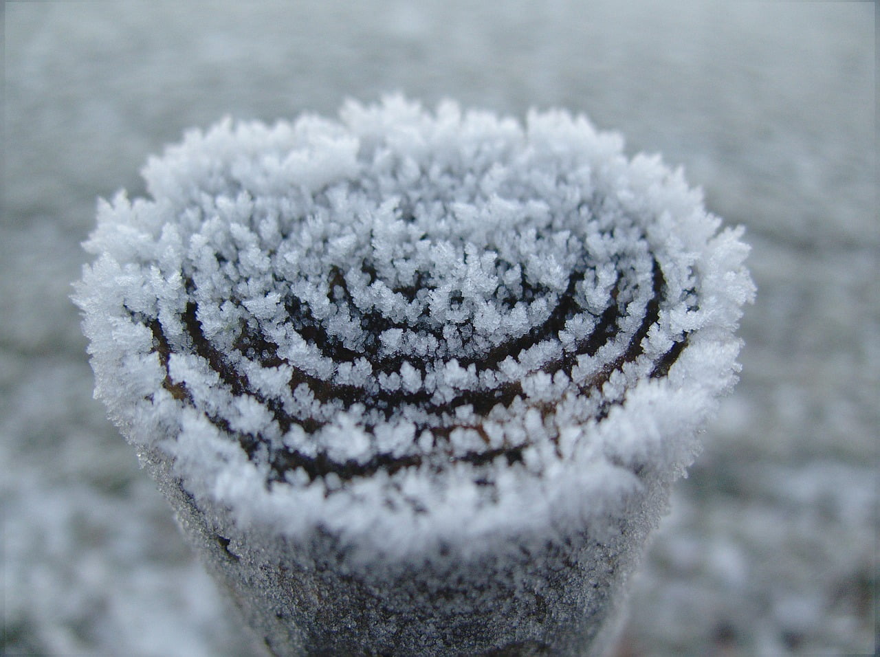 Grand Froid Janvier Risque Penurie Electricite Edf Danger