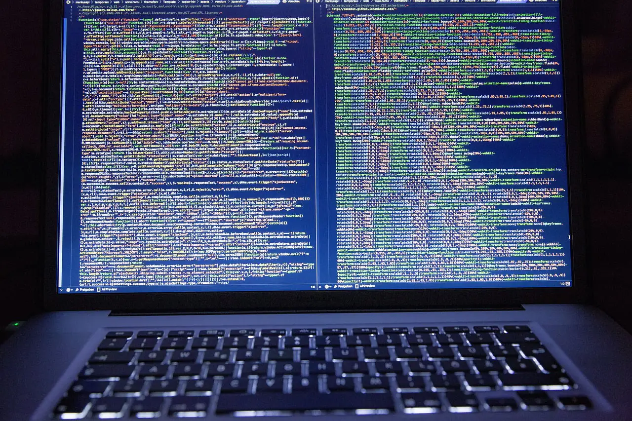 Hacker Pirate Ransomware Danger Victime Argent Paiement