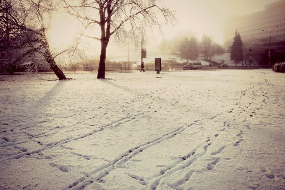 Hiver Temperature Chaleur Record Saison Meteo France