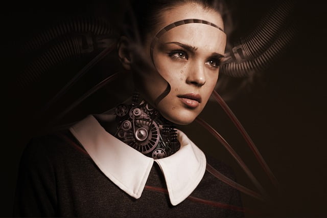 Intelligence Artificielle Secteur Emplois
