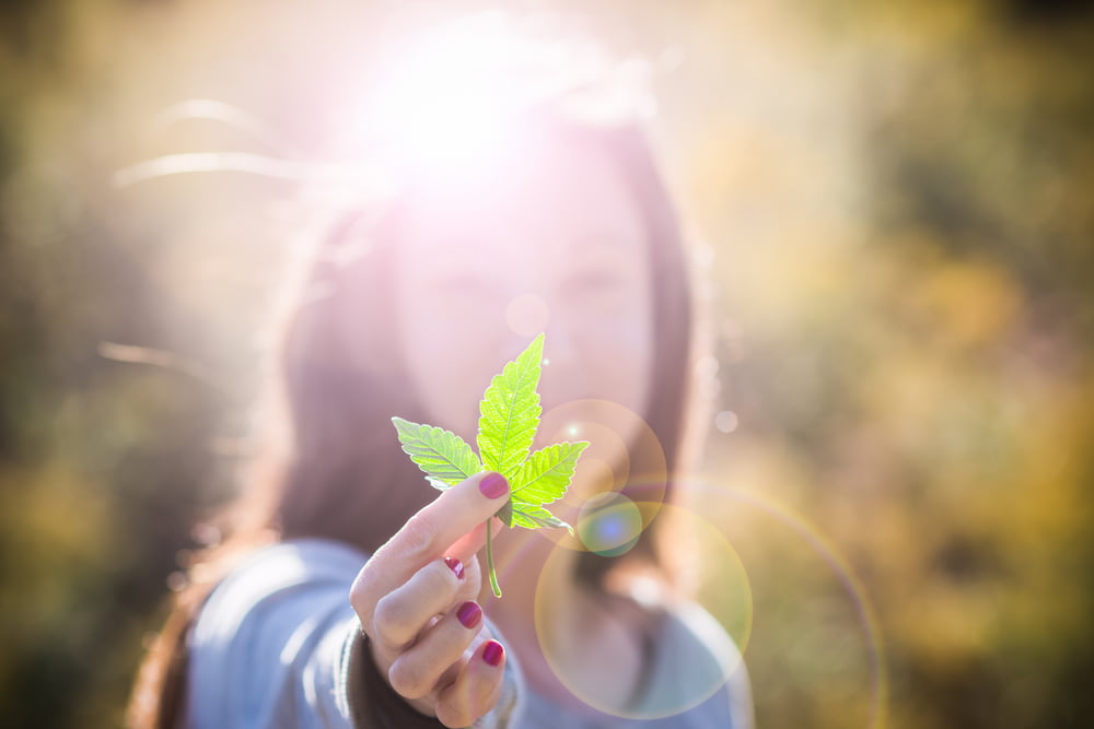 Italie Legalisation Cannabis Projet Loi Cofee Shop