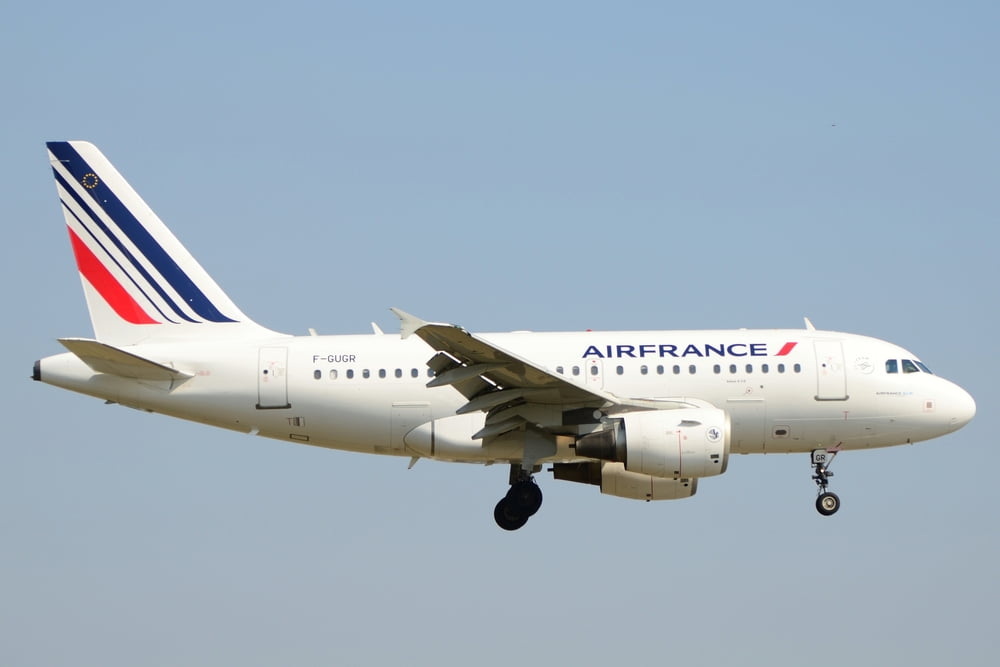 Licenciements Air France Copinage Pdg Entreprise Etat Enarque