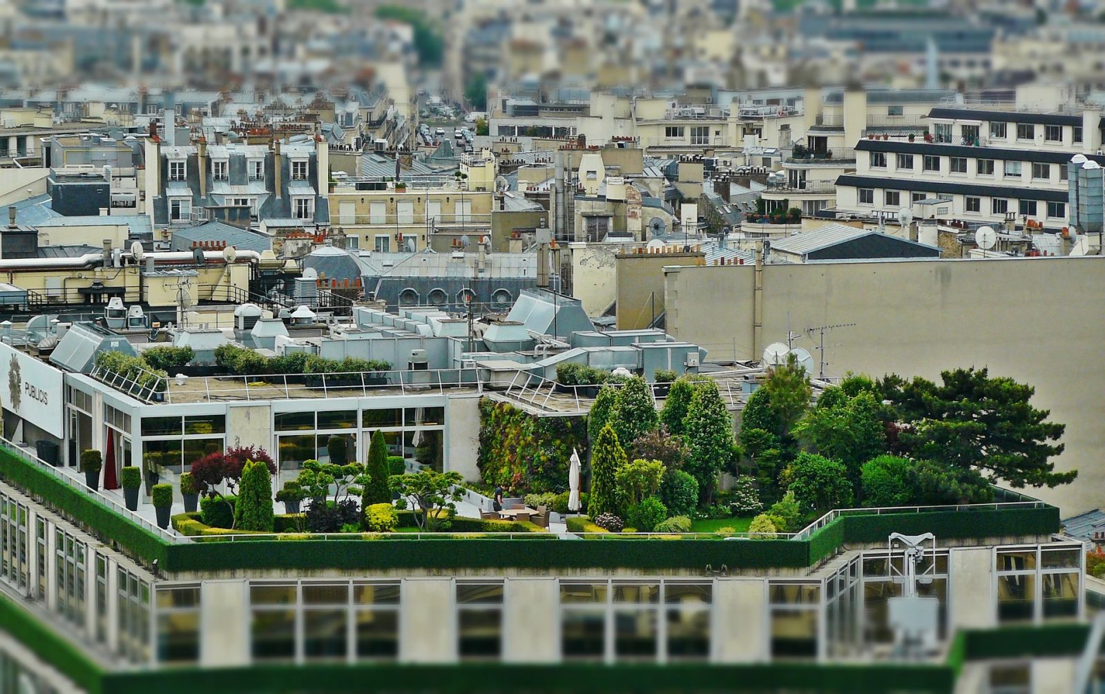 Logement Immobilier Terrace Toit Paris