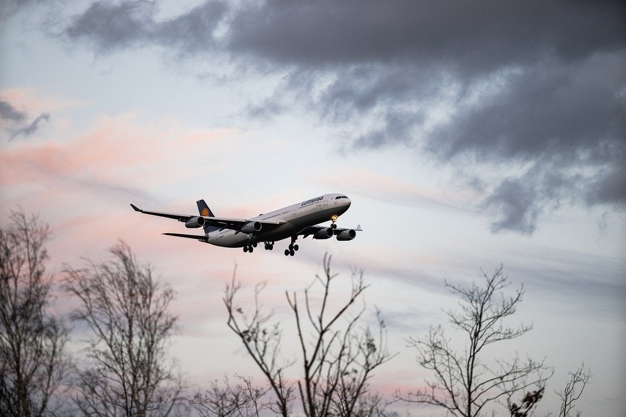Lufthansa Retour Activite 1