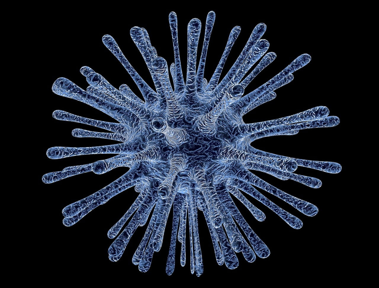 Maladies Chan Zuckerberg 1