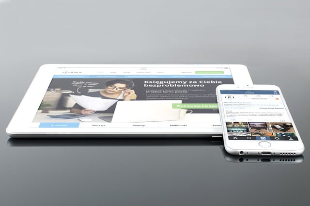 Marketing Mobile Developpement Strategies